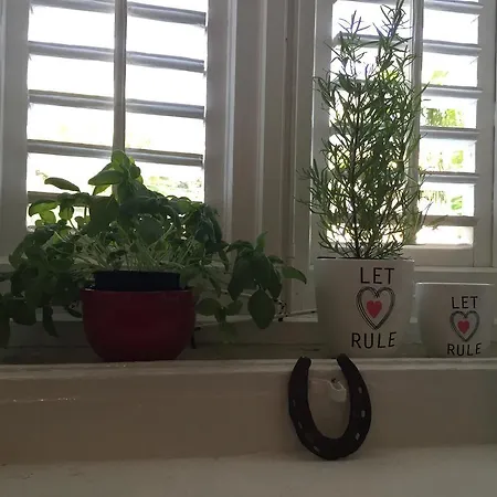 Peppina Apartament *