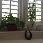 Peppina Apartmán *